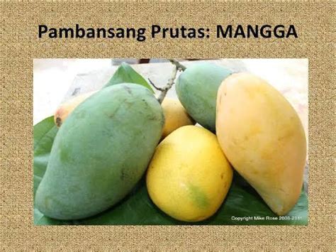 pambansang prutas ng pilipinas wikipedia|Pilipinas .